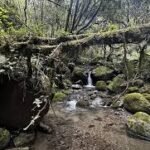 images (1)